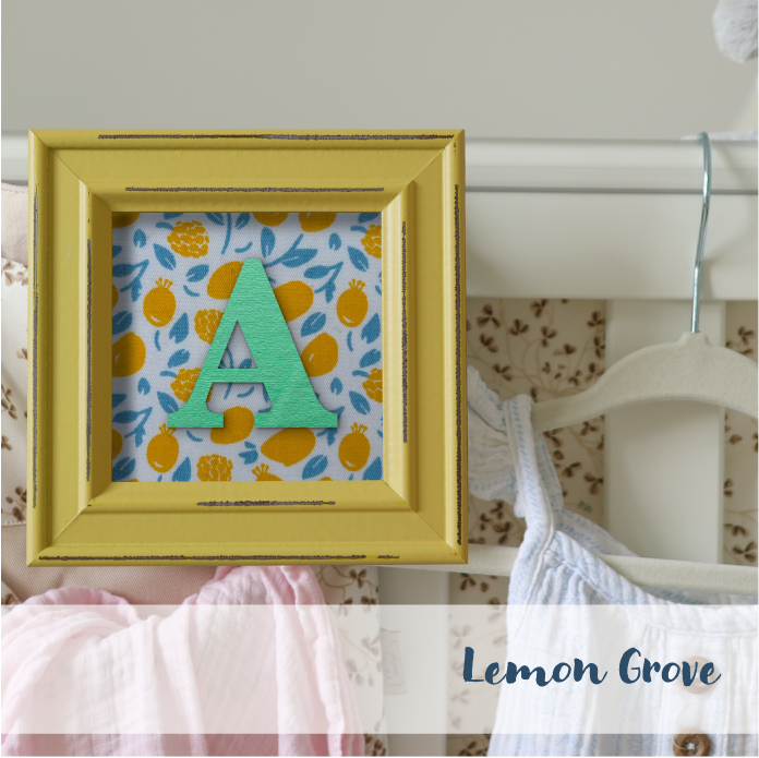 Yellow Frame - Fruit