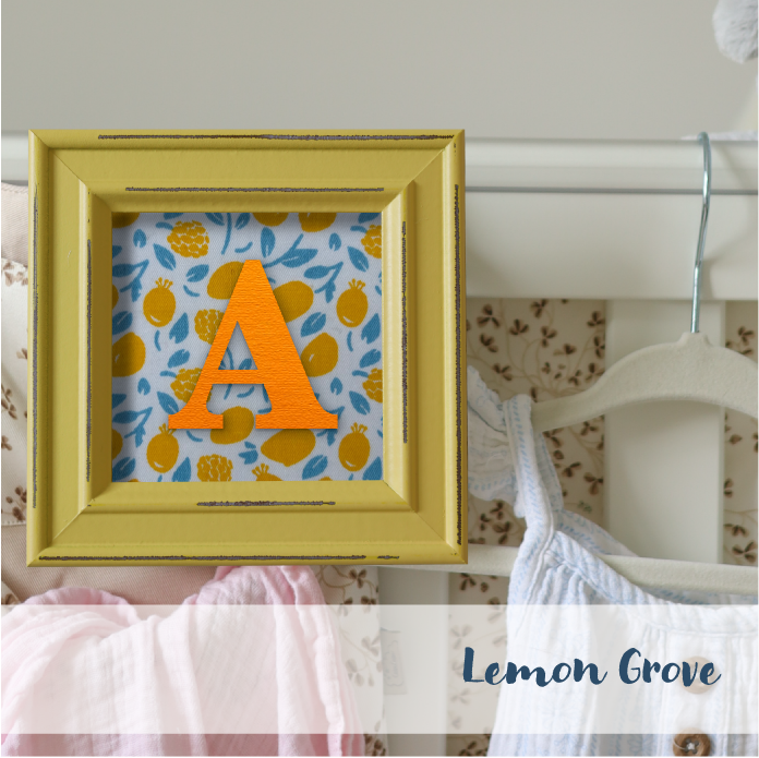 Yellow Frame - Fruit