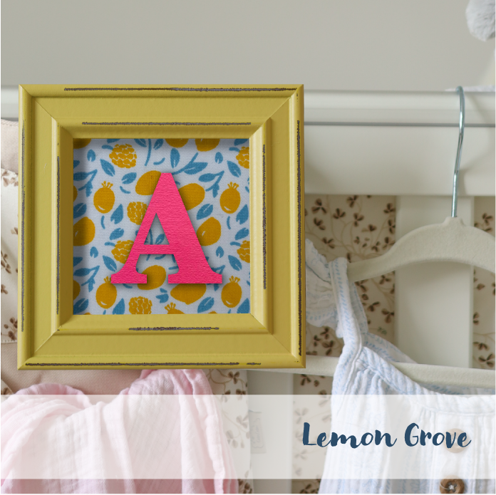 Yellow Frame - Fruit