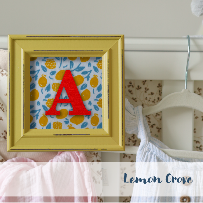 Yellow Frame - Fruit