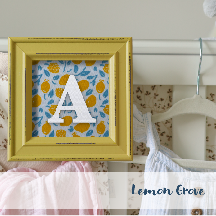 Yellow Frame - Fruit