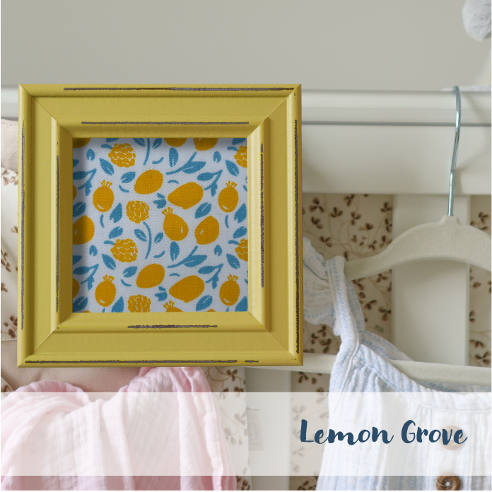 Yellow Frame - Fruit