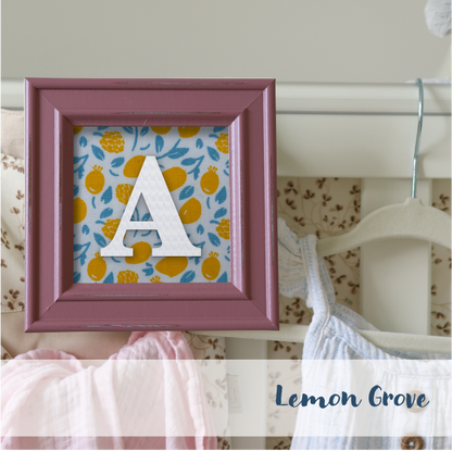 Pink Frame - Fruit