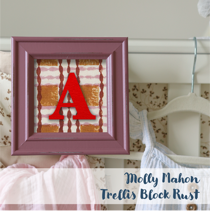 Pink Frame - Checks