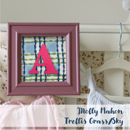 Pink Frame - Checks